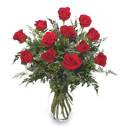 Classic Dozen Roses