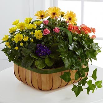 European Garden Basket