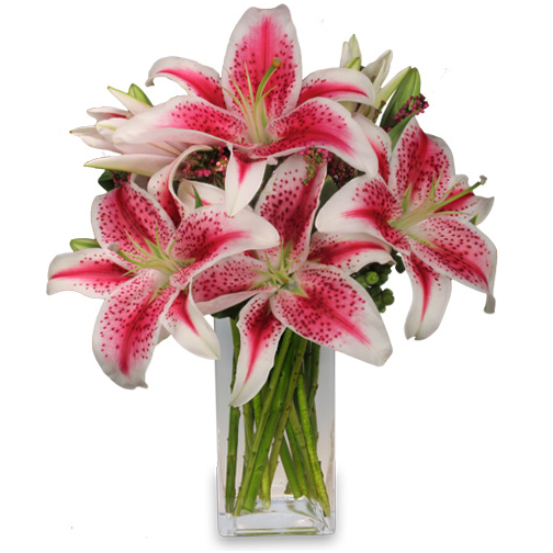 Luxurious Lillies