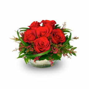 Rosy Red Posy